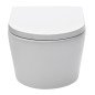 WC rėmo komplektas Ideal Standard ProSys, su WC SAT Brevis, baltu mygtuku ir soft-close dangčiu