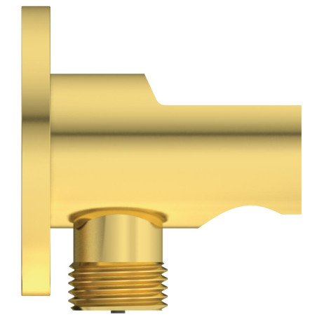 Rankinės dušo galvos laikiklis Ideal Standard IdealRain, su jungtimi, Brushed Gold