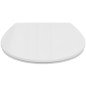 Dangtis WC Ideal Standard Eurovit, duroplast