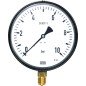 Manometras KFM, 1/2'', 10 bar M100, su patikra