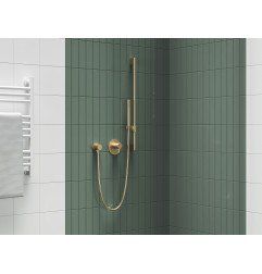 Dušo galvutė Ravak Chrome, 951.60GLB 1 funkcija, Gold Brushed