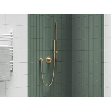 Dušo galvutė Ravak Chrome, 951.60GLB 1 funkcija, Gold Brushed