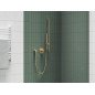 Dušo galvutė Ravak Chrome, 951.60GLB 1 funkcija, Gold Brushed Dušo galvutė Ravak Chrome, 951.60GLB 1 funkcija, Gold Brushed