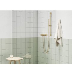 Dušo galvutė Ravak Chrome, 951.60GLB 1 funkcija, Gold Brushed