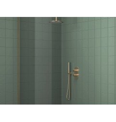 Dušo galvutė Ravak Chrome, 951.60GLB 1 funkcija, Gold Brushed