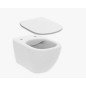 WC puodas su dangčiu IDEAL STANDARD TESI, baltas matinis