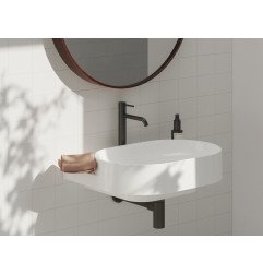 Praustuvo maišytuvas Ravak Espirit, 252 mm, ES 014.20GB Black Matt