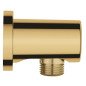 Potinkinė jungtis rankiniam dušui GROHE Rainshower, gold - cool sunrise sp. Potinkinė jungtis rankiniam dušui GROHE Rainshower, gold - cool sunrise sp.