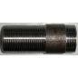 Ilgasriegis, d , 2''