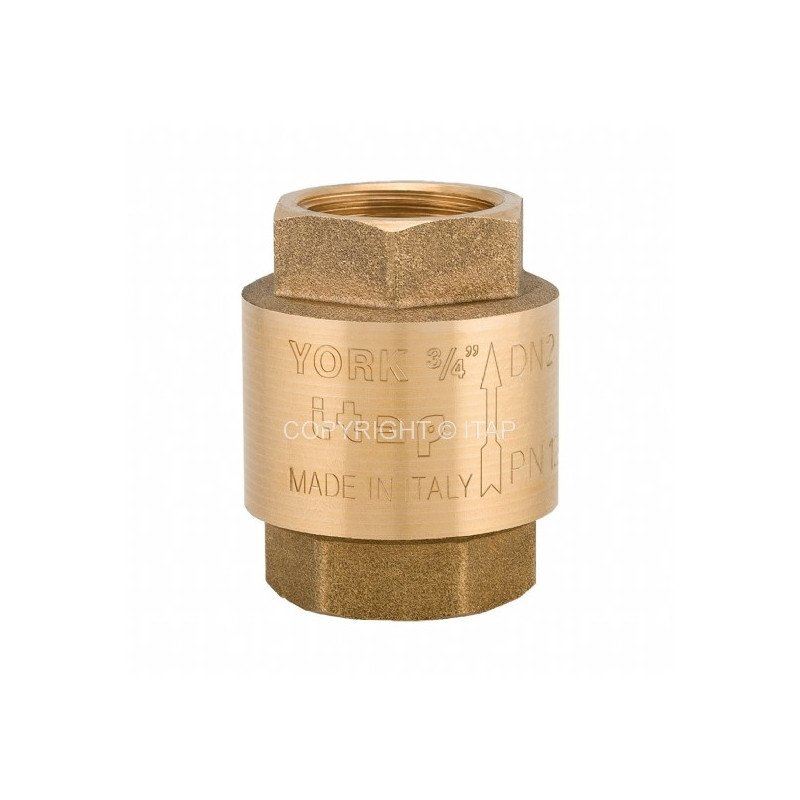 Vertikalus atbulinis vožtuvas ITAP, su plastikine vožtuvo lėkštele, d 2''